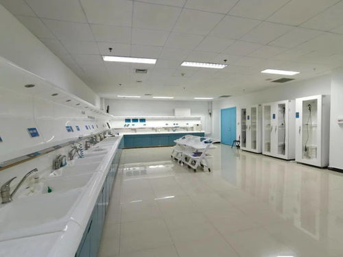 技術、服務、設備與環境 構建完善的綜合技術服務生態